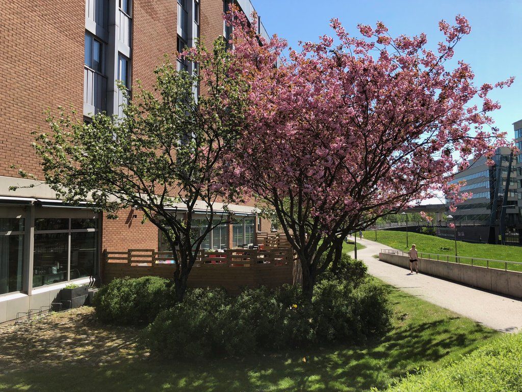 Scandic Kista Stockholm Exteriér fotografie